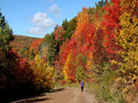 Fall-colours-Nova-Scotia.jpg